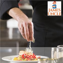 Party cook, Cook for party Mr. Rabi Biswas in Sodepur